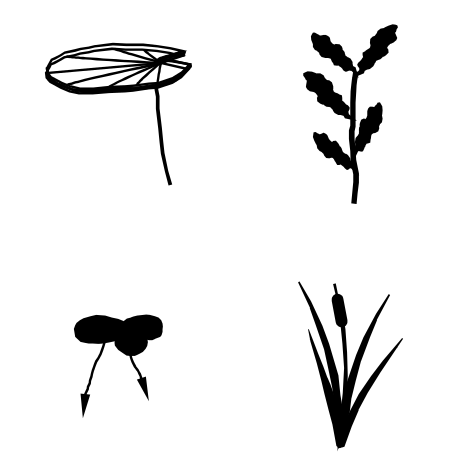 Aquatic plants symbols