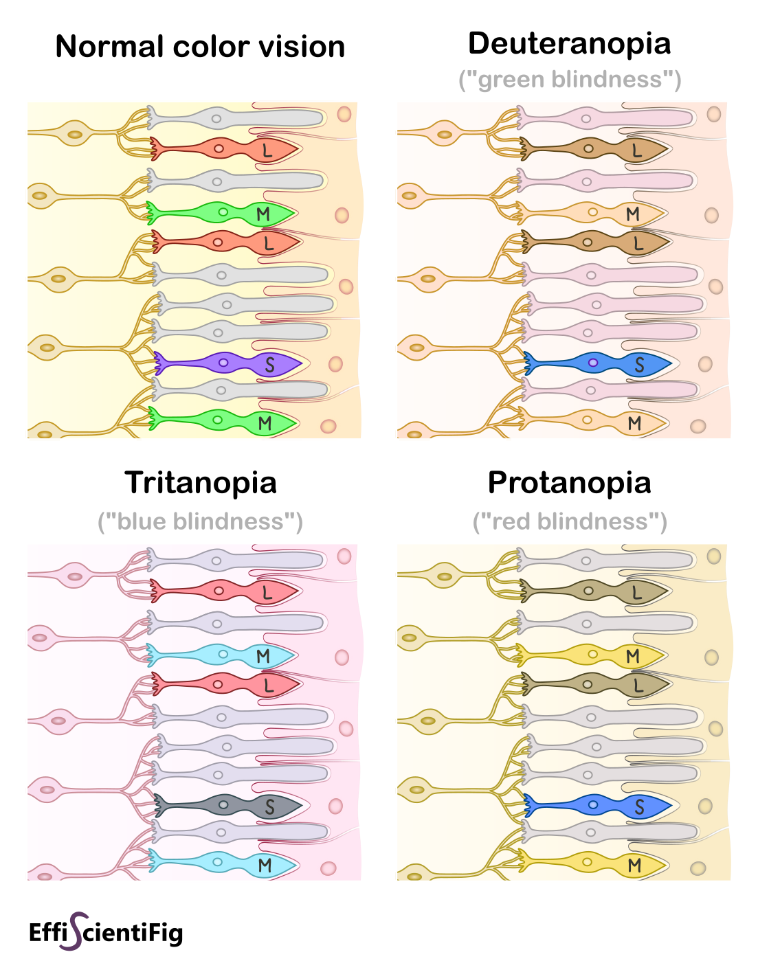 Make your graphs readable from more people: reconsider your color choices