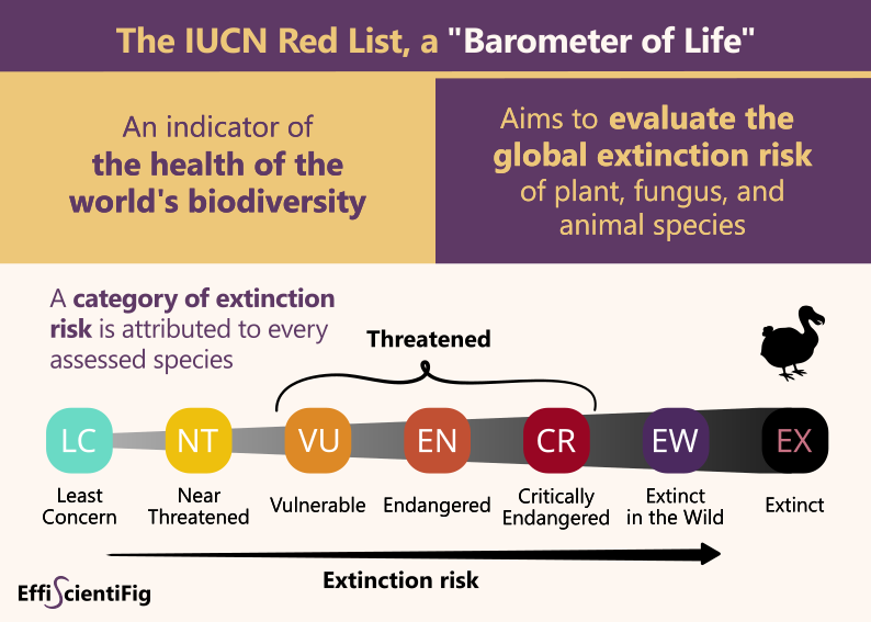 IUCN Red List Categories Page 1