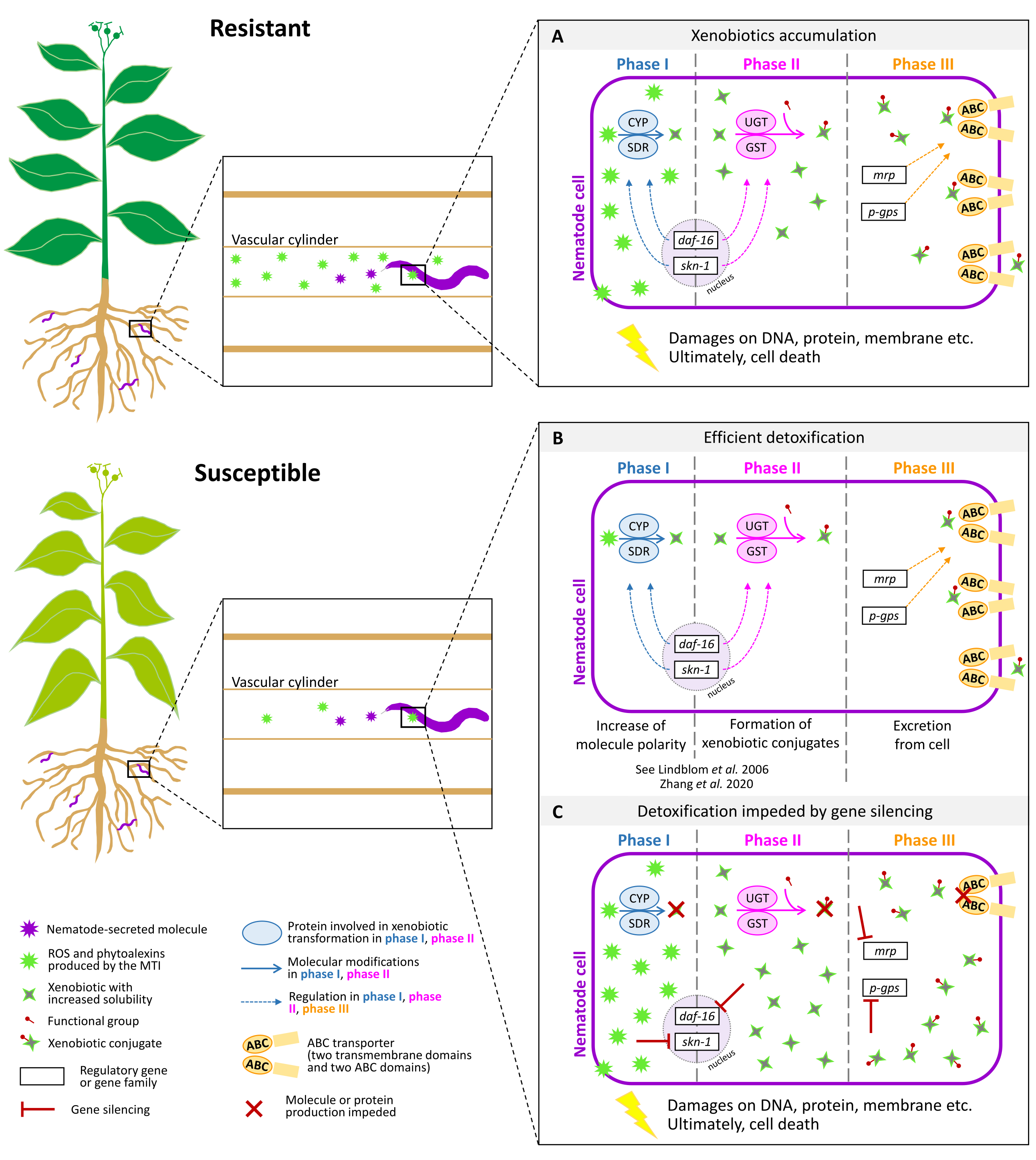 Journal article figure - Response of plant-parasitic nematodes in resistant and susceptible plants