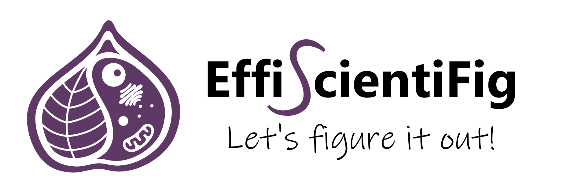 Logo EffiScientiFig